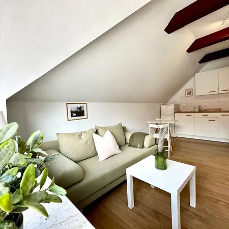 Apartment Lesny Zubr Iv Danzig