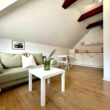 Lesny Zubr Iv Apartman *